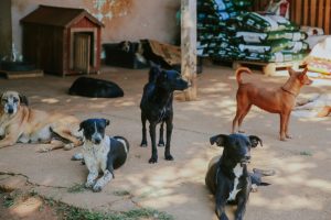 Image 2025-12-16 at 14.29.21