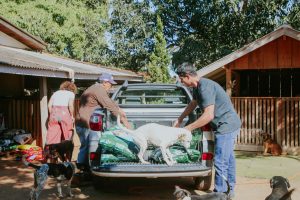 WhatsApp Image 2025-07-23 at 14.23.46