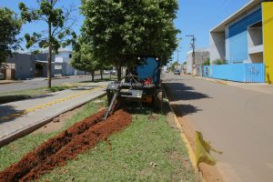 WhatsApp Image 2025-09-30 at 08.12.43