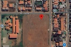 WhatsApp Image 2025-11-26 at 08.57.50