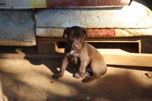 WhatsApp Image 2025-12-04 at 10.43.46