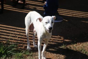 WhatsApp Image 2026-01-12 at 14.20.41