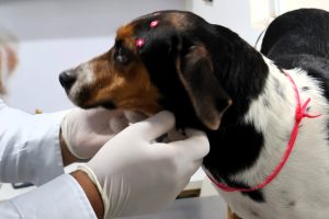 WhatsApp Image 2026-01-29 at 16.12.30