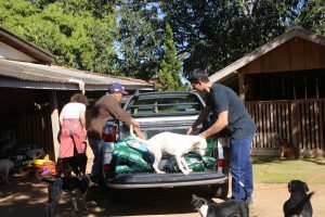 WhatsApp Image 2026-02-03 at 11.29.38