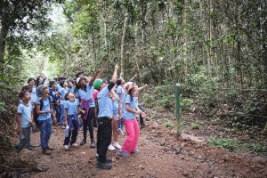 educação ambiental (11)